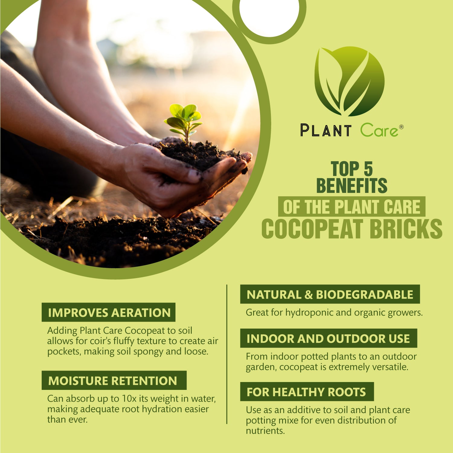 Eco-friendly growing solution with our compressed Cocopeat bricks
