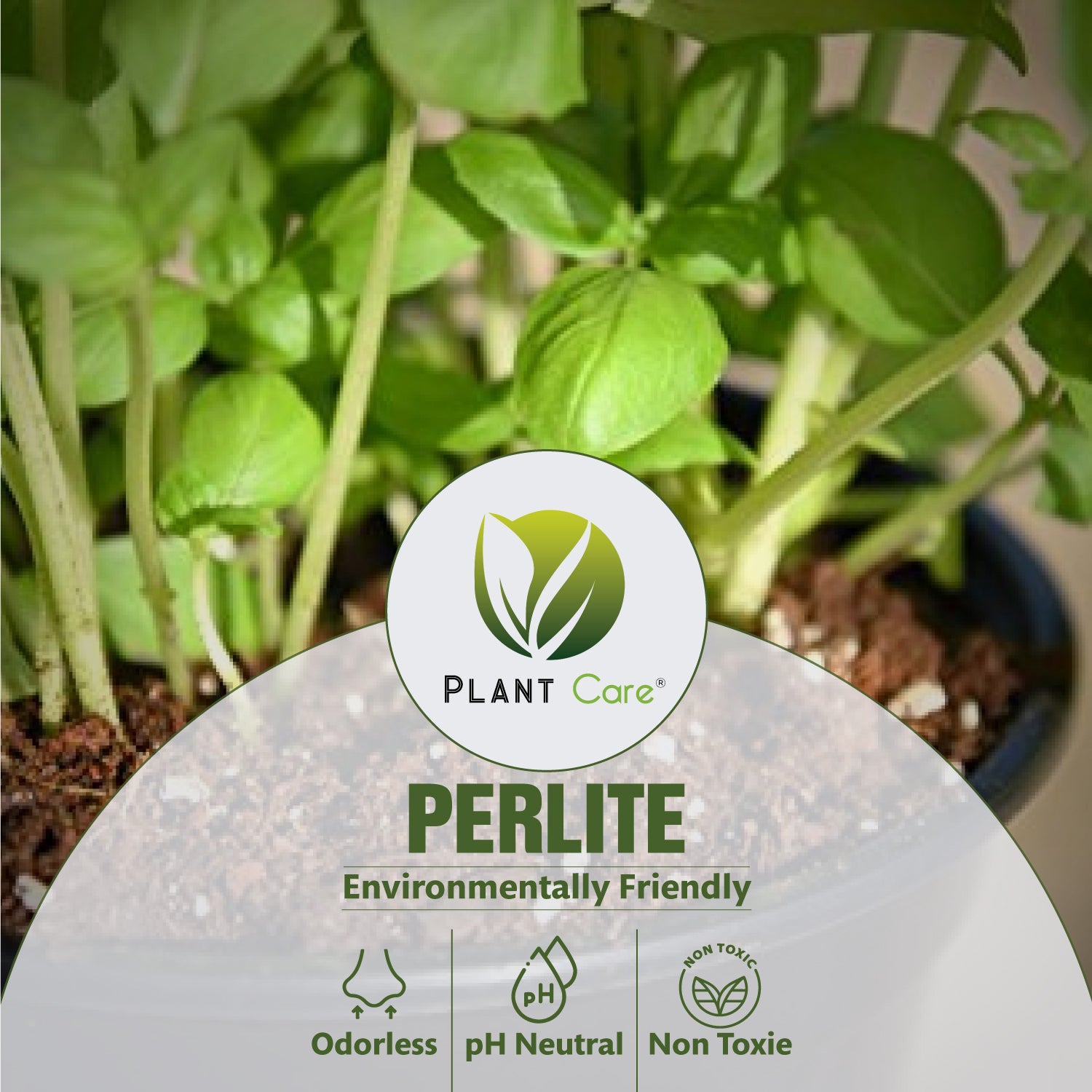 Enhance your garden's performance with our perlite