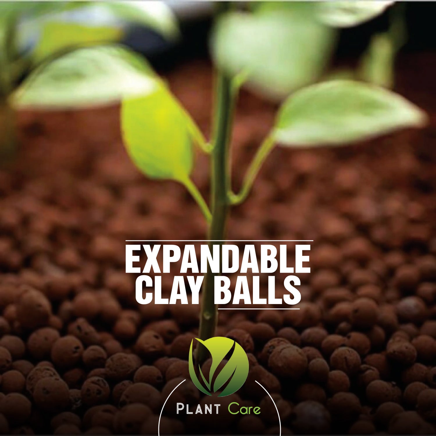 Expandable clay balls