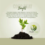 Coco Peat Fertilizer