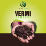 Close-up of vermi compost texture