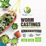 Plant Care organic vermi compost for vegetables
