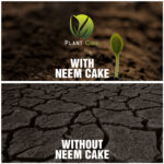 Neem cake powder for rose plants by Plant Care