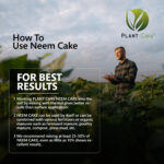 Neem cake for healthy soil and plant growth