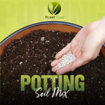 Close-up of potting soil mix texture