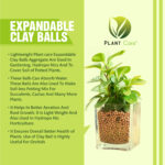 Plant Care expandable clay balls for improved drainage